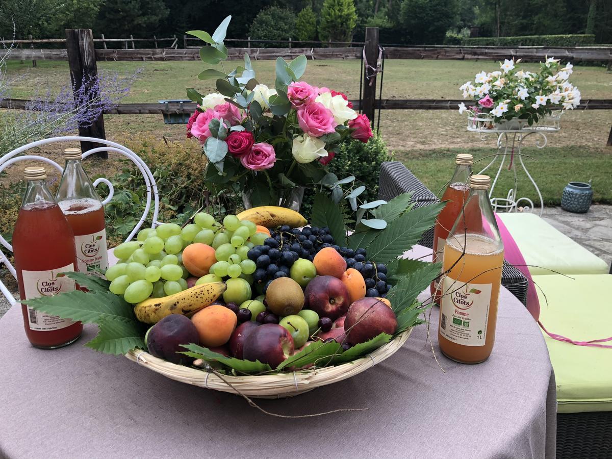 Domaine Du Vertbois La Haye-du-Theil Ngoại thất bức ảnh